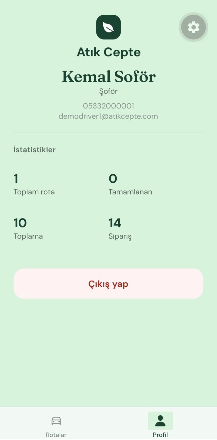 Şoför profili ve istatistikler ekranı
